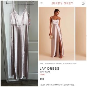 Birdy Grey NWT Jay Dress in Satin Taupe, Size XS
